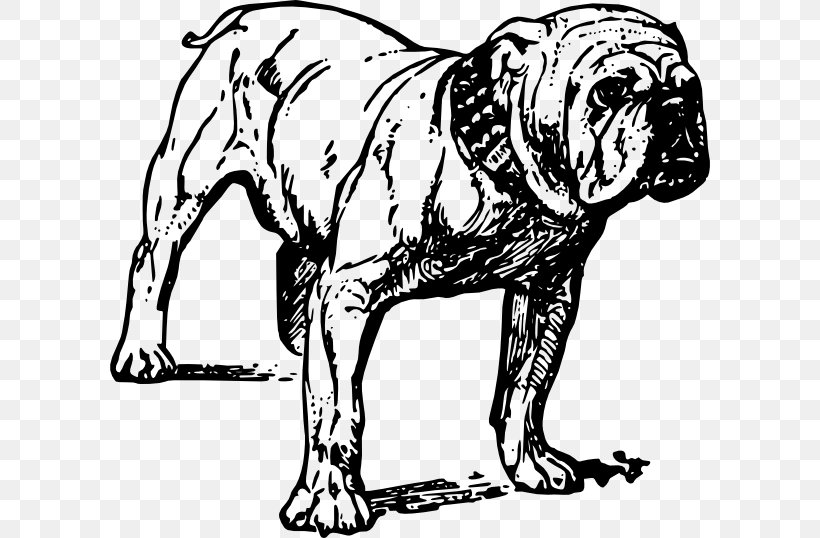 French Bulldog Alapaha Blue Blood Bulldog Pit Bull, PNG, 600x538px, Bulldog, Alapaha Blue Blood Bulldog, Art, Artwork, Big Cats Download Free