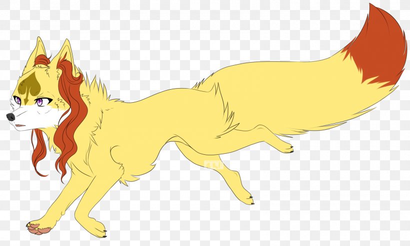 Whiskers Red Fox Dog Cat, PNG, 1600x960px, Whiskers, Carnivoran, Cartoon, Cat, Cat Like Mammal Download Free