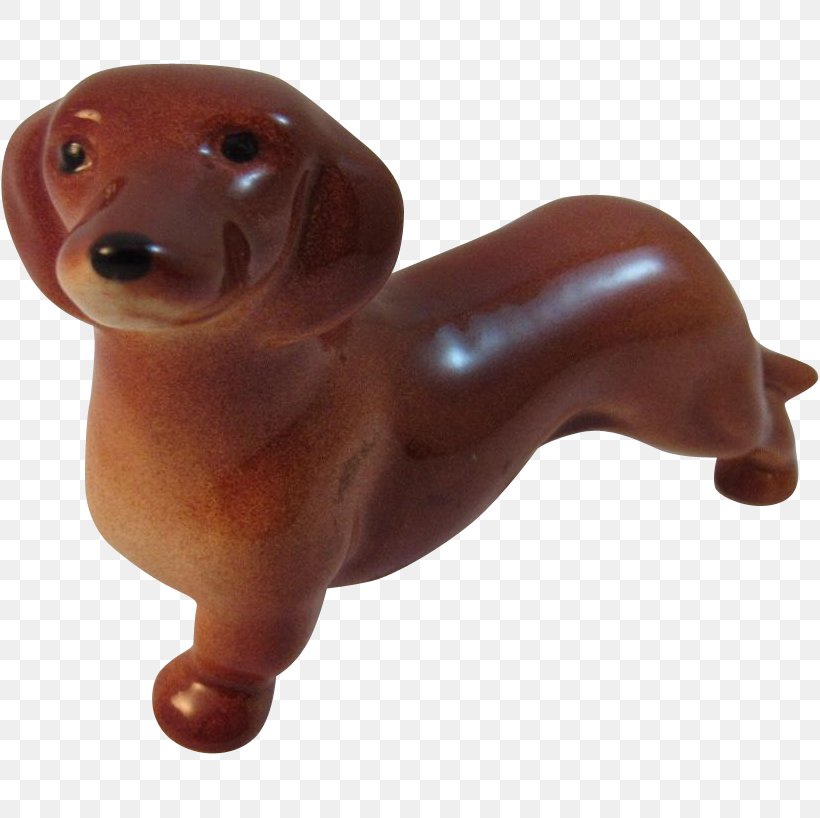 Dog Breed Dachshund Companion Dog Snout, PNG, 818x818px, Dog Breed, Breed, Carnivoran, Companion Dog, Dachshund Download Free