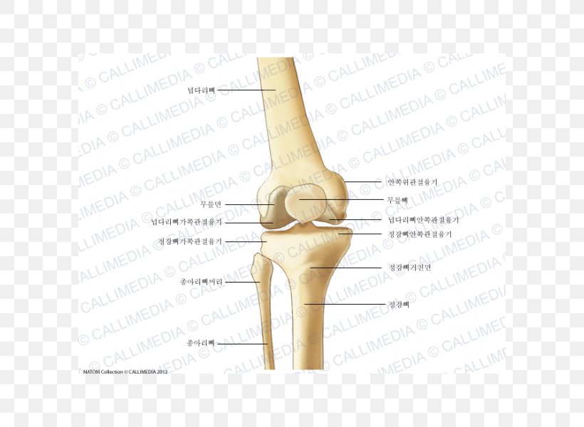 Finger Hip Knee Elbow, PNG, 600x600px, Watercolor, Cartoon, Flower, Frame, Heart Download Free