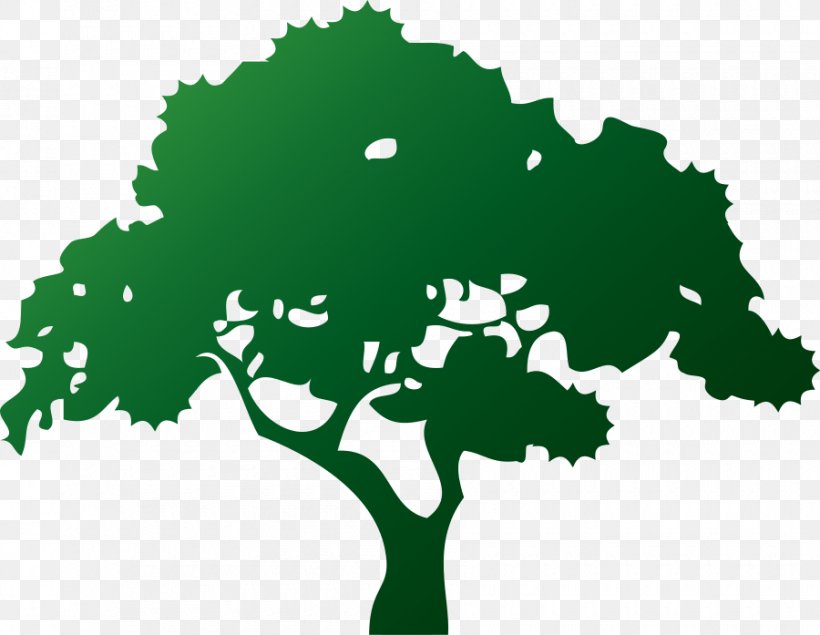 Logo Aurelio's Lawn & Tree Service Bonsai Arborist, PNG, 900x697px, Logo, Arborist, Bonsai, Brand, Google Logo Download Free