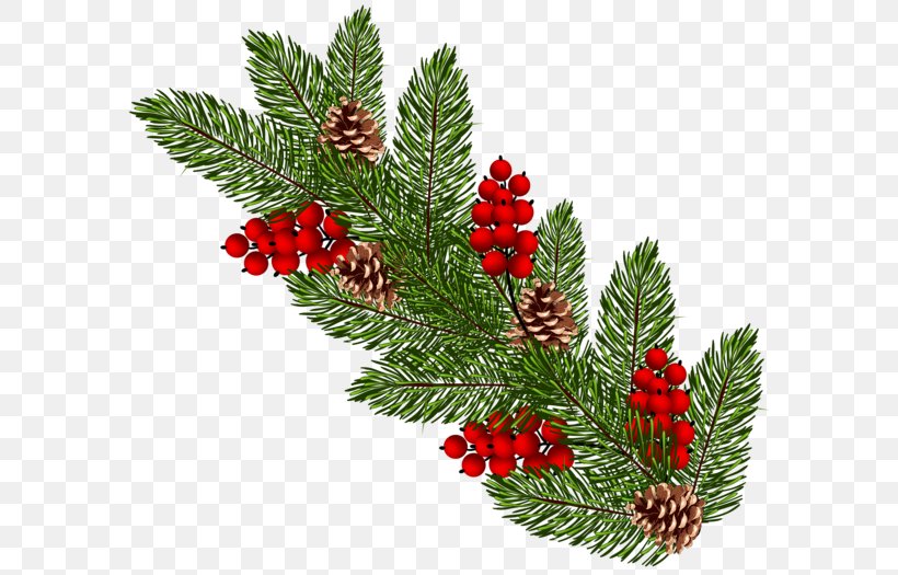 Christmas Ornament Conifer Cone Clip Art, PNG, 600x525px, Christmas Ornament, Branch, Christmas, Christmas Decoration, Christmas Tree Download Free