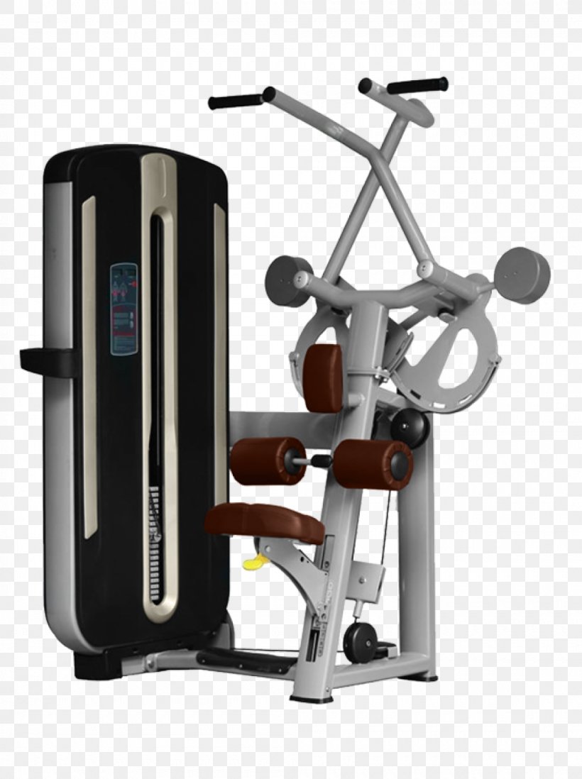 Elliptical Trainers Exercise Machine Fitness Centre Bench Press Deadlift, PNG, 1000x1340px, Elliptical Trainers, Barbell, Bench Press, Biceps, Bronze Download Free