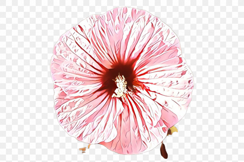 Flower Pink Petal Plant Hibiscus, PNG, 2452x1632px, Flower, Cut Flowers, Geraniaceae, Geranium, Herbaceous Plant Download Free