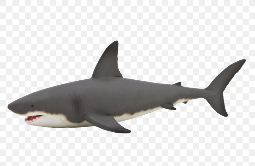 Great White Shark Hammerhead Shark Whale Shark Isurus Oxyrinchus, PNG, 800x533px, Shark, Action Toy Figures, Animal, Animal Figurine, Carcharodon Download Free