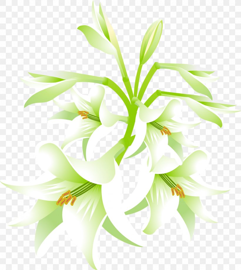 Lilium Candidum Flower Lilium 'Stargazer', PNG, 1069x1200px, Lilium Candidum, Branch, Cut Flowers, Fleurdelis, Flora Download Free