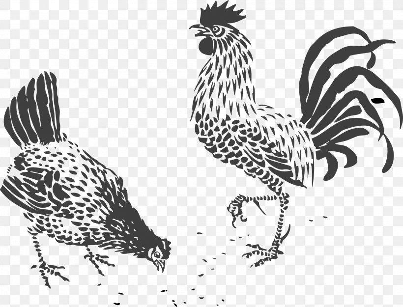 Chicken Drawing Line Art Rooster Clip Art, PNG, 1920x1465px, Chicken, Art, Beak, Bird, Black And White Download Free