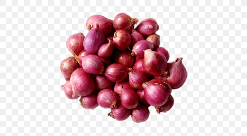 Sambar Shallot Potato Onion Indian Cuisine Vegetable, PNG, 660x450px, Sambar, Beet, Beetroot, Berry, Cranberry Download Free
