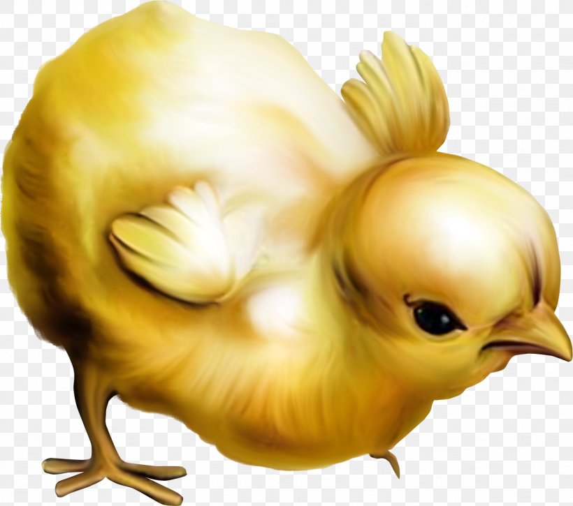 Chicken Easter Clip Art, PNG, 1364x1207px, Chicken, Art, Beak, Bird, Drawing Download Free