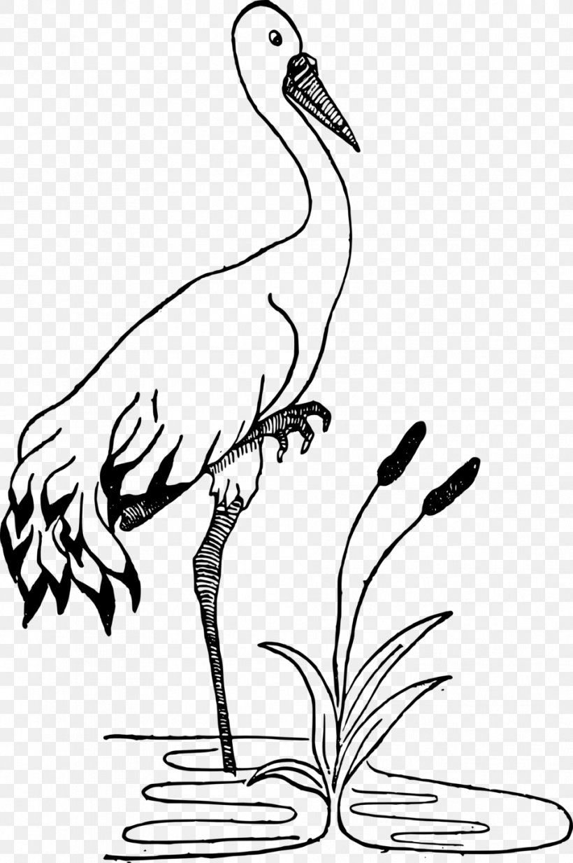 Crane Black And White Drawing Clip Art, PNG, 958x1441px, Crane, Artwork ...