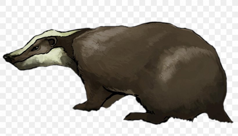 European Badger Clip Art, PNG, 937x535px, Badger, Badger Badger Badger, Bear, Carnivoran, Cattle Like Mammal Download Free