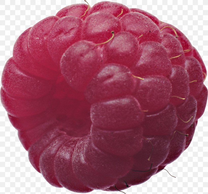 Red Raspberry, PNG, 1318x1234px, Juice, Berry, Blackberry, Cranberry, Fruit Download Free