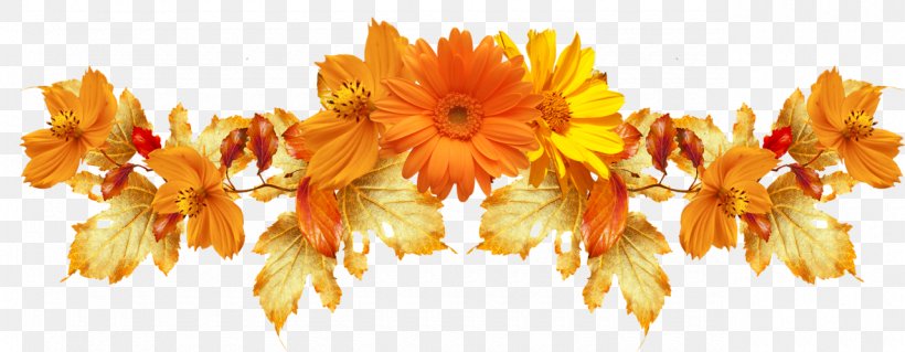 Flowers Background, PNG, 1280x498px, Flower, Borders And Frames, Calendula, Cut Flowers, English Marigold Download Free