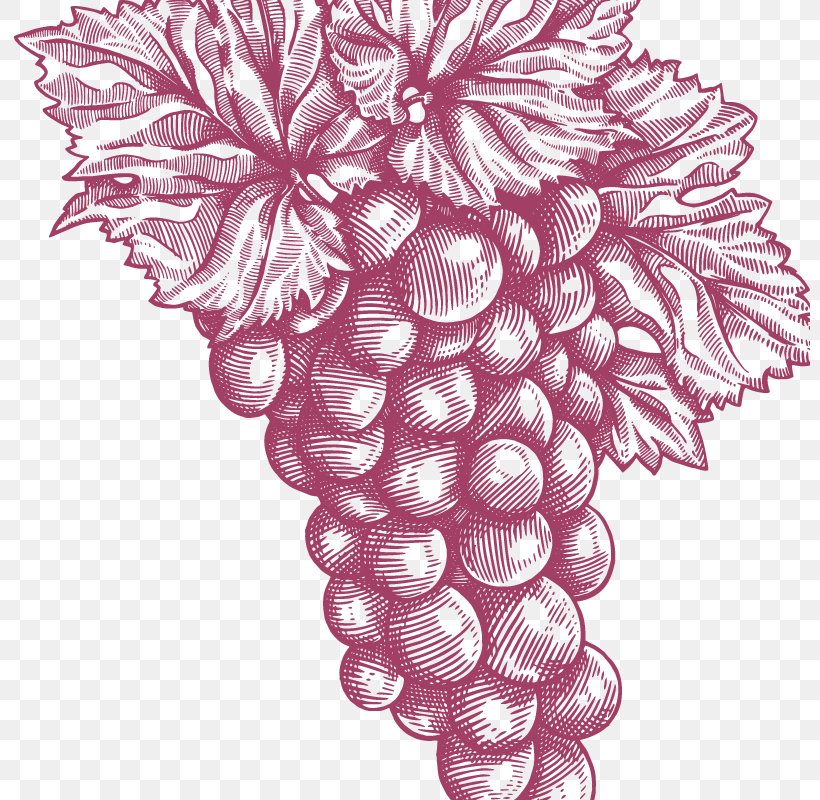 Grape Floral Design Pattern, PNG, 800x800px, Grape, Floral Design, Flower, Flowering Plant, Food Download Free