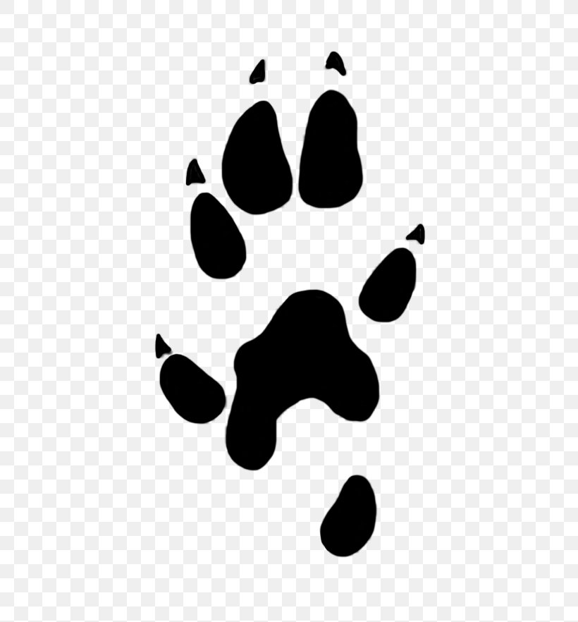 Paw Stoat Desktop Wallpaper Clip Art, PNG, 502x882px, Paw, Bear, Black, Black And White, Drawing Download Free