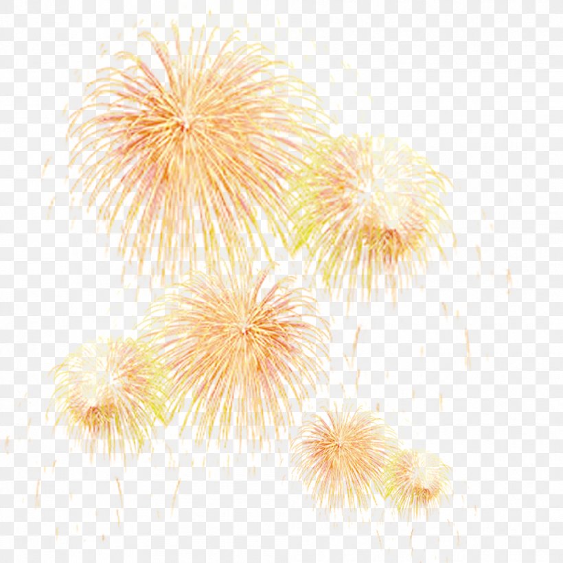 Adobe Fireworks Firecracker, PNG, 992x992px, Fireworks, Adobe Fireworks, Diwali, Fire, Firecracker Download Free