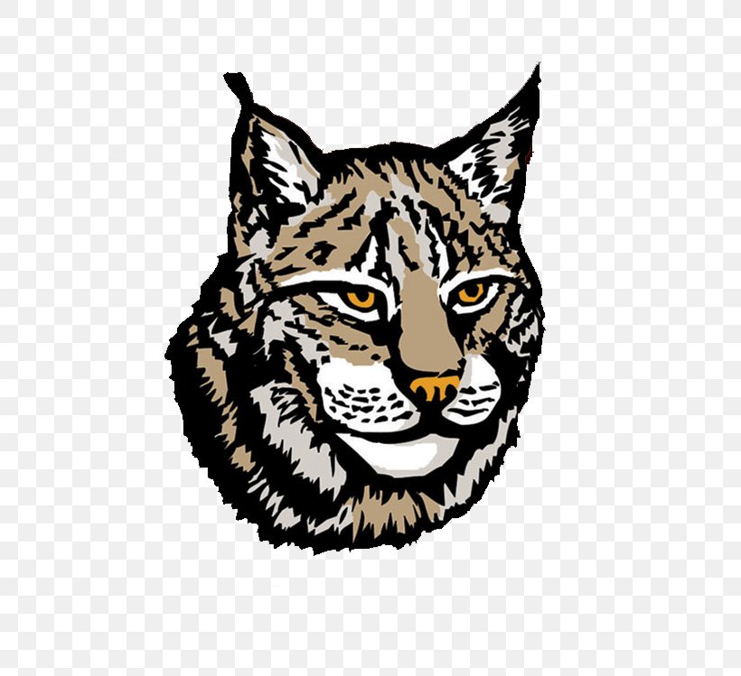 Canada Lynx Clip Art, PNG, 780x749px, Canada Lynx, Bbcode, Big Cats, Bobcat, Carnivoran Download Free