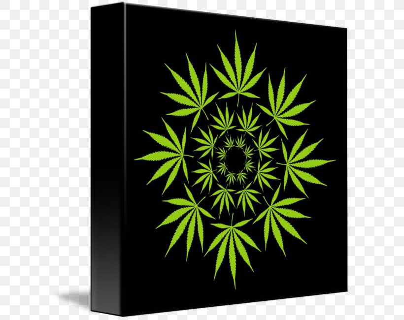 Cannabis Art Hash Oil Hemp, PNG, 606x650px, Cannabis, Art, Cannabis Culture, Cannabis Sativa, Cannabis Smoking Download Free