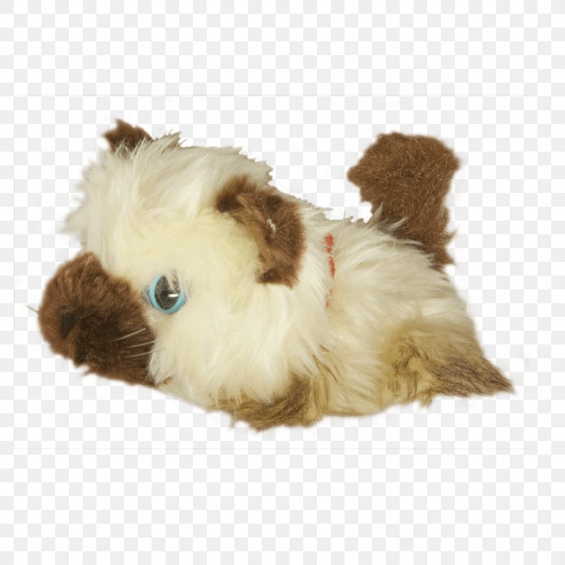 Dog Breed Shih Tzu Lhasa Apso Puppy Companion Dog, PNG, 1024x1024px, Dog Breed, Breed, Carnivoran, Companion Dog, Crossbreed Download Free