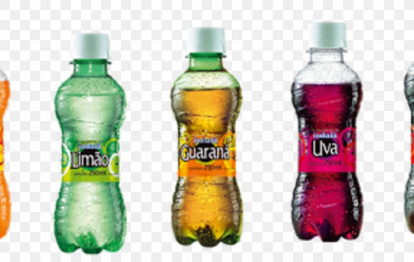 Fizzy Drinks Plastic Bottle Indaiá Mineral Water, PNG, 1420x900px, Fizzy Drinks, Bottle, Canning, Chocolate, Drink Download Free