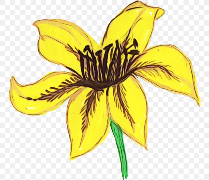 Sunflower, PNG, 754x705px, Watercolor, Flower, Flowering Plant, Paint, Petal Download Free
