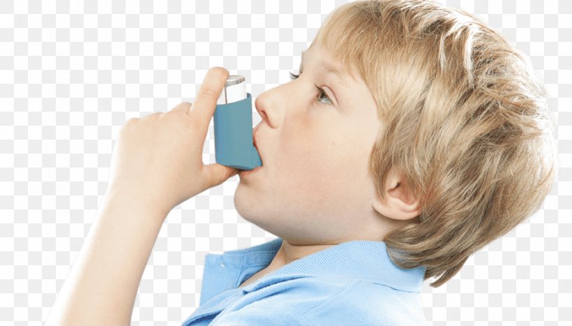 World Asthma Day Allergy Respiratory Disease, PNG, 925x527px, Asthma, Allergy, Bronchitis, Child, Cough Download Free