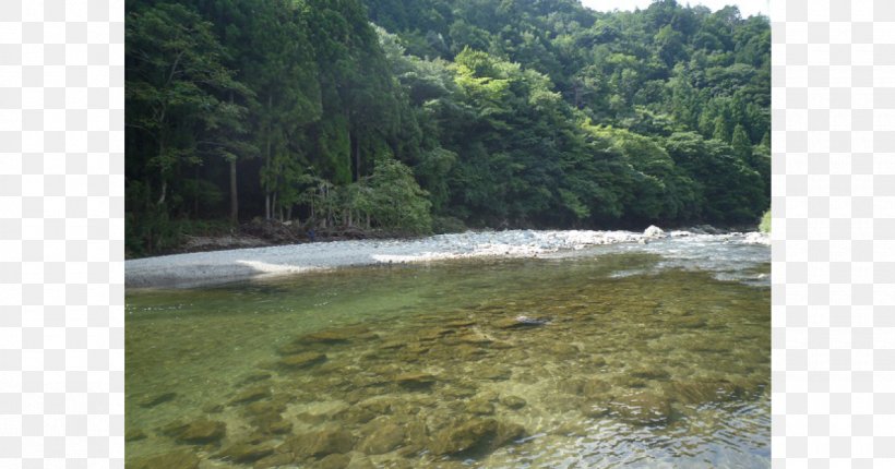 Chikusa Gawa 羽束川 清流 Anabuki River Niyodo River, PNG, 1200x630px, River, Biome, Forest, Hill Station, Inlet Download Free