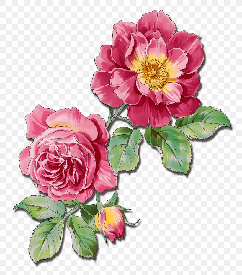 Flower Rose Watercolor Painting, PNG, 1500x1705px, Flower, Annual Plant, Camellia, Cut Flowers, Floral Design Download Free