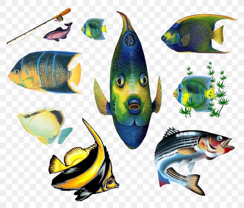 Goldfish Sea Aquarium Clip Art, PNG, 1058x904px, Fish, Akwarystyka Morska, Animal, Aquarium, Blog Download Free