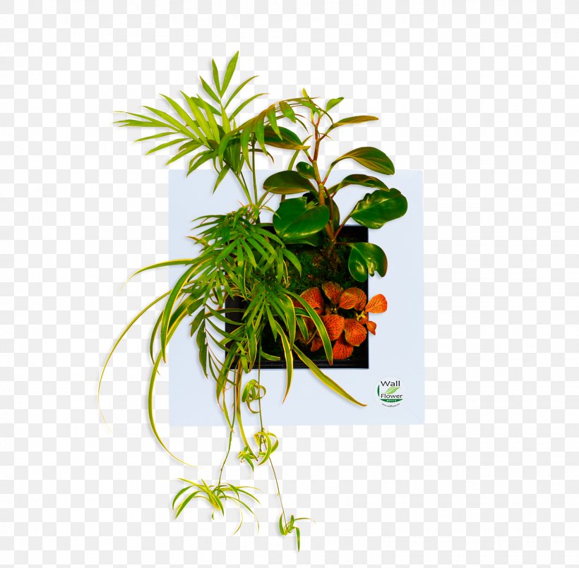 Leaf Flowerpot Houseplant Plant Stem Herb, PNG, 1552x1524px, Leaf, Flowerpot, Herb, Houseplant, Plant Download Free