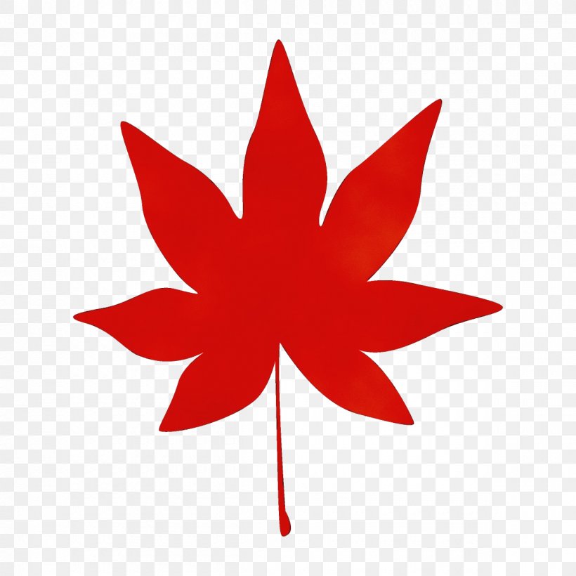 Maple Leaf, PNG, 1200x1200px, Watercolor, Leaf, Maple, Maple Leaf, Paint Download Free