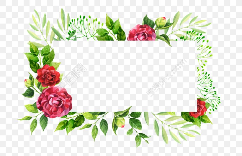 Garden Roses Picture Frames Clip Art, PNG, 780x530px, Garden Roses, Border, Branch, Computer Software, Cut Flowers Download Free
