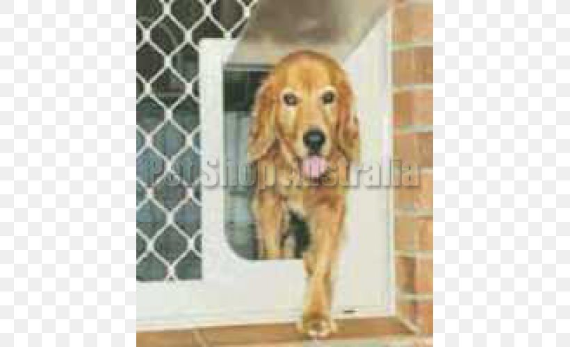 Golden Retriever English Cocker Spaniel Window Screens Pet Door, PNG, 500x500px, Golden Retriever, Carnivoran, Companion Dog, Dog, Dog Breed Download Free