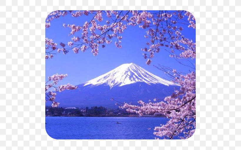 Lake Kawaguchi Mount Fuji Lake Ashi Three Holy Mountains Lake Suwa, PNG, 512x512px, Lake Kawaguchi, Blossom, Cherry Blossom, Flower, Fuji Download Free