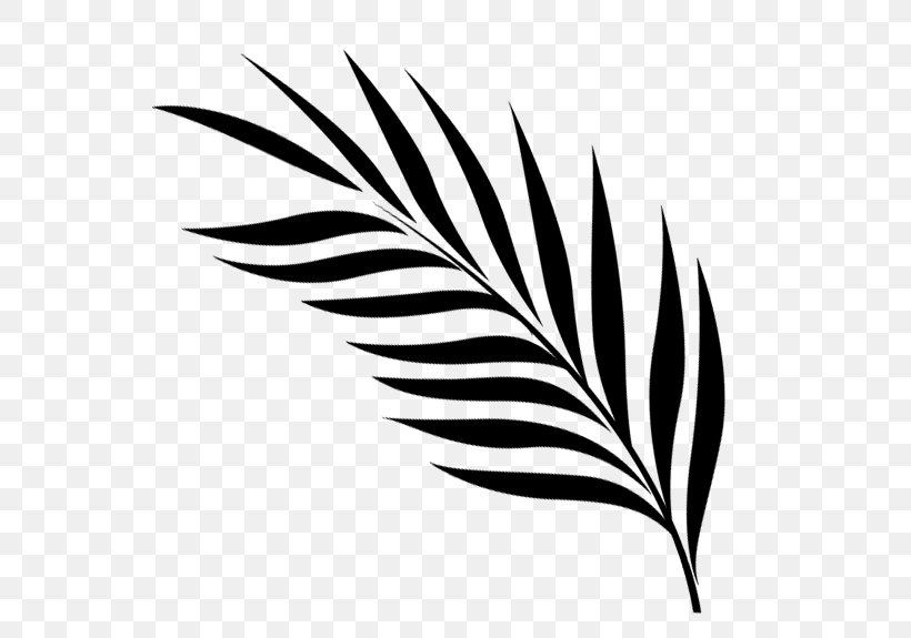 Leaf Font Plant Stem Line Flowering Plant, PNG, 575x575px, Leaf, Blackandwhite, Botany, Closeup, Feather Download Free