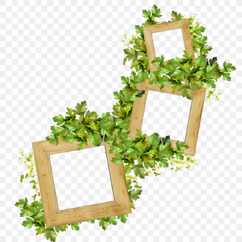 Saint Patrick's Day Picture Frames Photographer, PNG, 1024x1024px, Saint Patrick S Day, Bulletin Board, Floral Design, Floristry, Flower Download Free