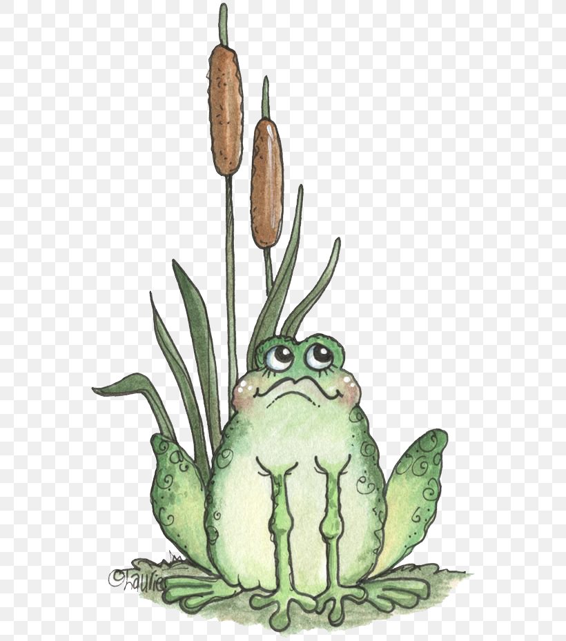 Tree Frog Cartoon Illustration, PNG, 564x929px, Frog, Amphibian, Art, Cartoon, Creativity Download Free