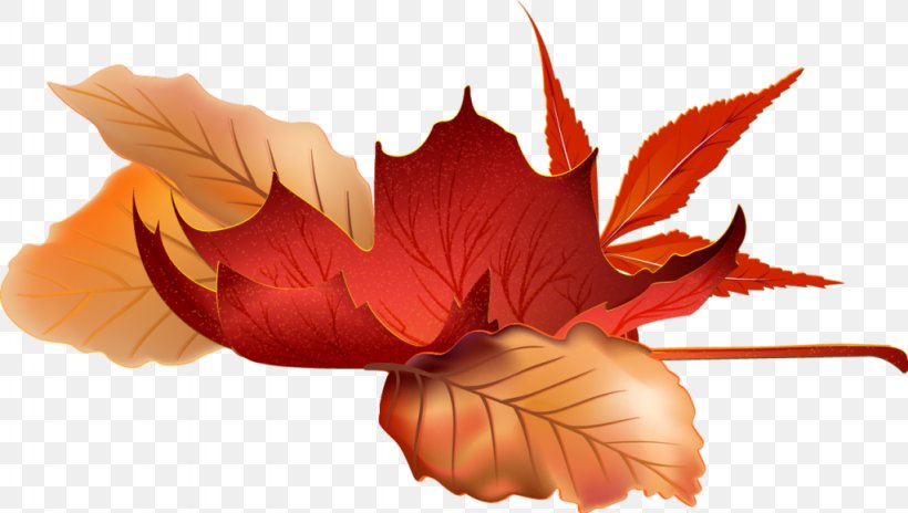 Autumn Image Season Graphics Design, PNG, 1024x580px, Autumn, Autumn Leaf Color, Centerblog, Drawing, Flower Download Free
