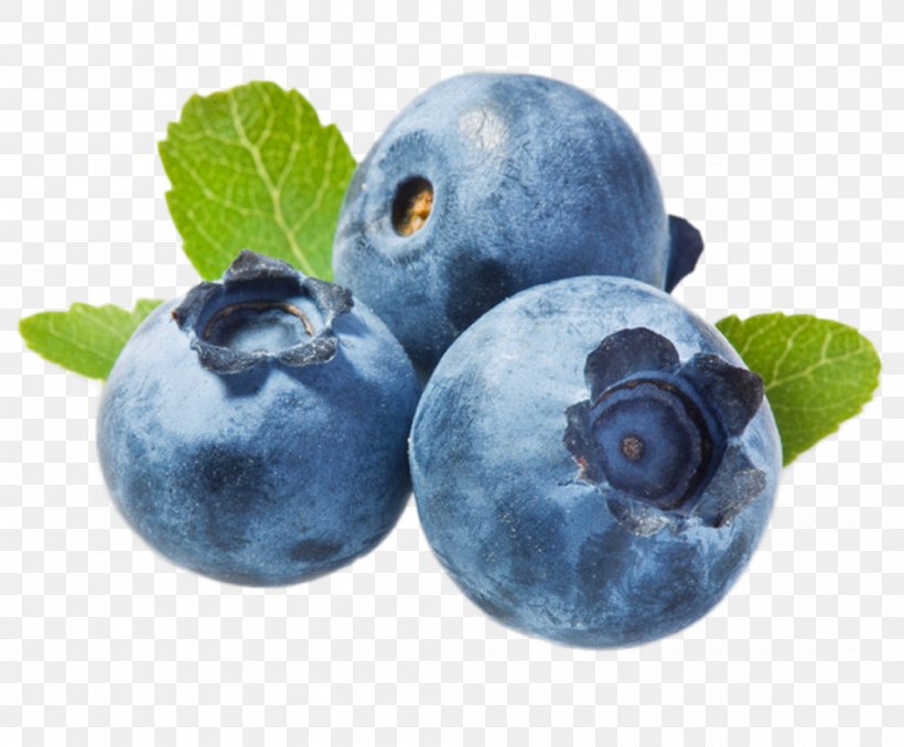 Blueberry Vaccinium Corymbosum Cambridge Advanced Learner's Dictionary Spanish Language Translation, PNG, 1000x828px, Blueberry, Berry, Bilberry, Blue, English Language Download Free