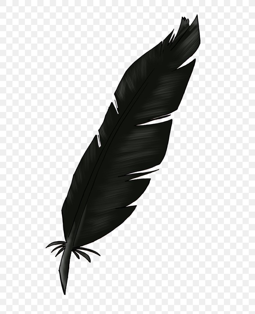 Feather Light Clip Art, PNG, 600x1009px, Feather, Bird, Black, Black And White, Header Download Free