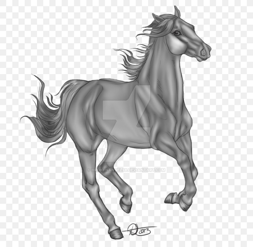 Horse Cartoon, PNG, 800x800px, Mane, American Quarter Horse, Animal Figure, Blackandwhite, Breed Download Free
