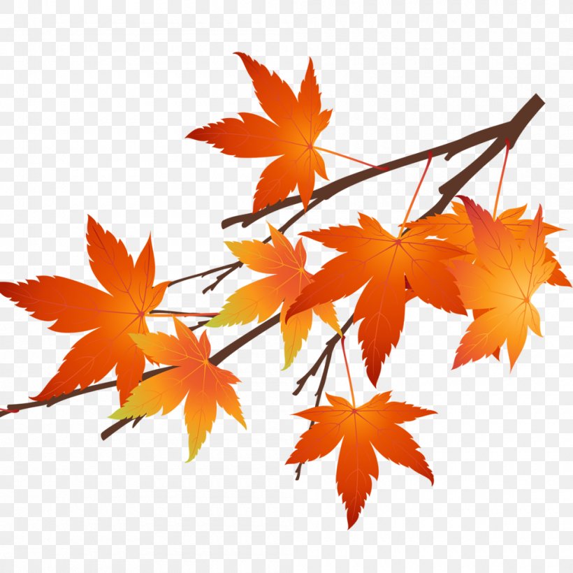 Autumn Leaf Computer File, PNG, 1000x1000px, Autumn, Autumn Leaf Color, Branch, Flowering Plant, Leaf Download Free