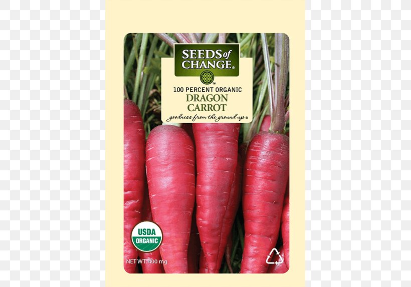 Radish Carrot Food Seed Root Vegetables, PNG, 573x573px, Radish, Carrot, Carrot Seed Oil, Daucus, Daucus Carota Download Free