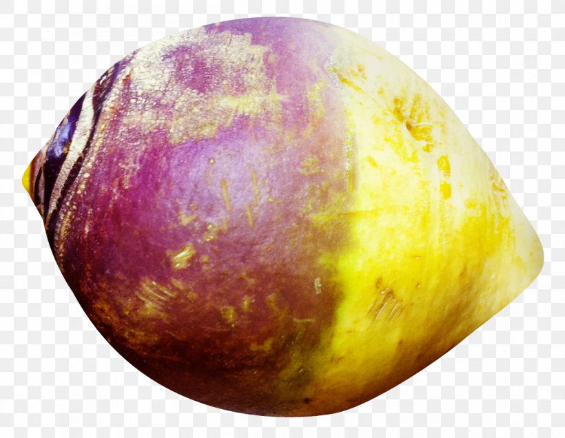 Rutabaga Radish, PNG, 1200x932px, Rutabaga, Brassica Oleracea, Element, Food, Fruit Download Free