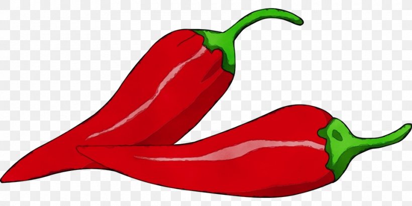 Watercolor Plant, PNG, 960x480px, Watercolor, Capsicum, Cayenne Pepper, Chili Con Carne, Chili Pepper Download Free