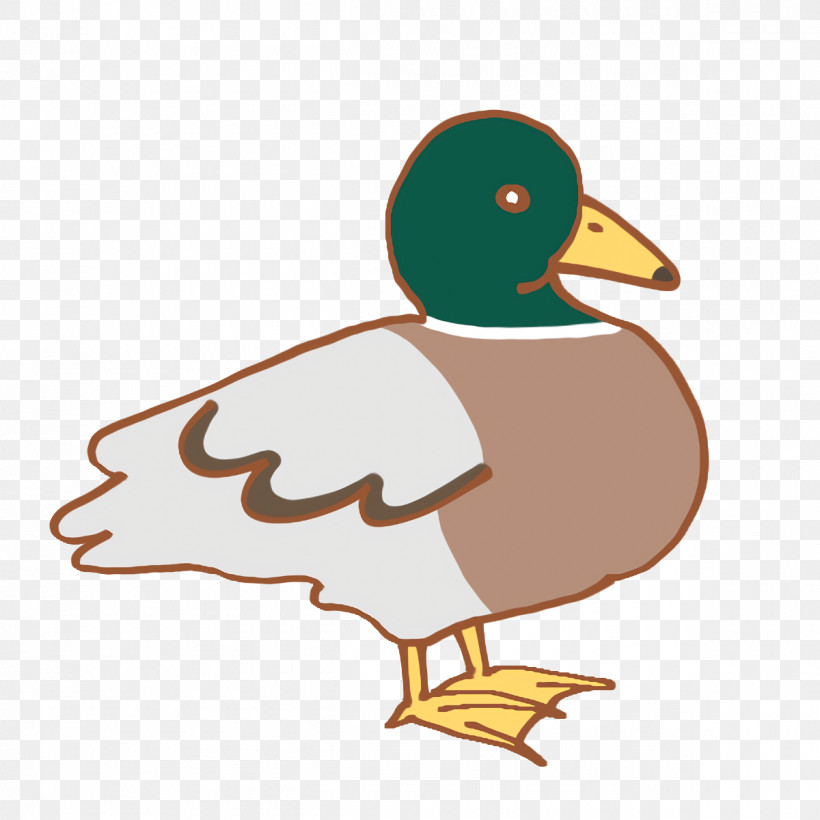 Duck Ducks Waterfowl Beak Cartoon, PNG, 1200x1200px, Duck, Beak, Cartoon, Ducks, Grey Geese Download Free