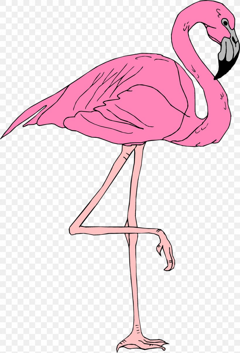 Flamingo Clip Art, PNG, 958x1408px, Flamingo, Beak, Bird, Cartoon, Ciconiiformes Download Free