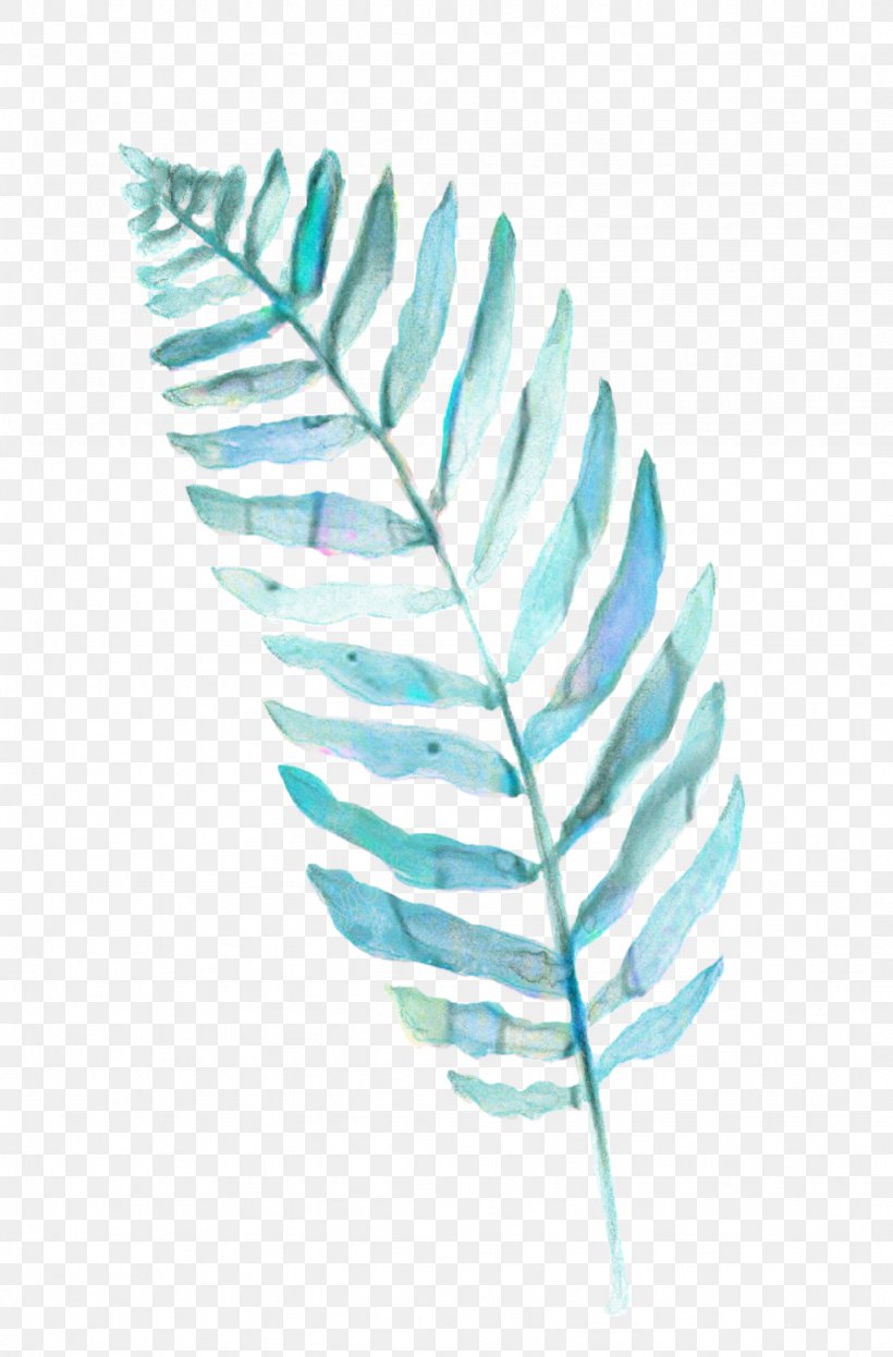 Green Leaf Watercolor, PNG, 1024x1557px, Leaf, Blue, Feather, Fern, Frond Download Free