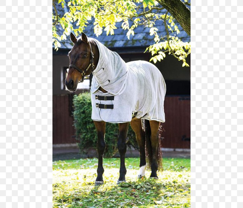Horse Carpet Blanket Equestrian Olsons Tack Shop, PNG, 700x700px, Horse, Bathroom, Bed Sheets, Blanket, Bridle Download Free