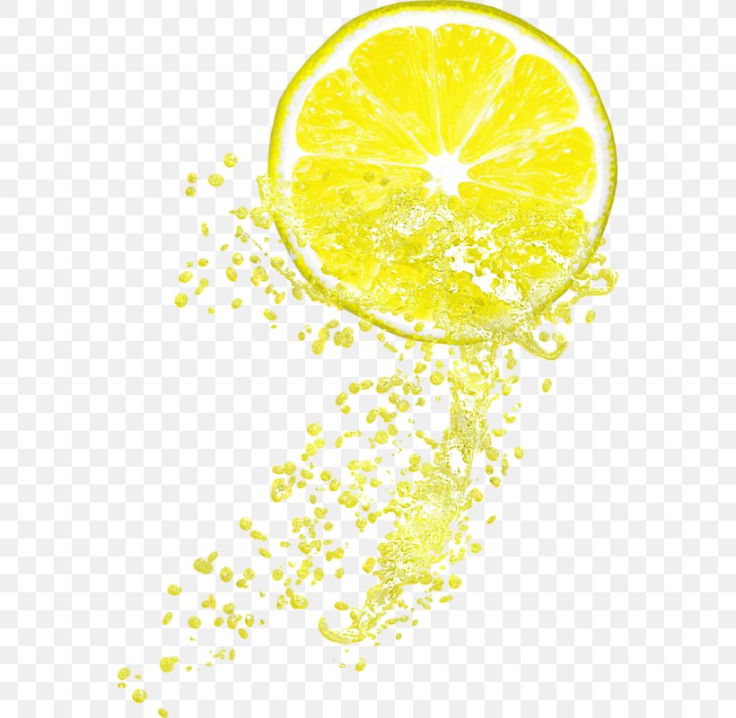 Lemon-lime Drink Juice Lemonade Citrus Junos, PNG, 558x800px, Lemon, Auglis, Citric Acid, Citron, Citrus Download Free